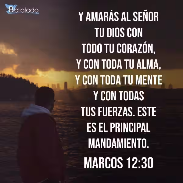 amaras-al-senor-tu-dios-con-todo-tu-corazon