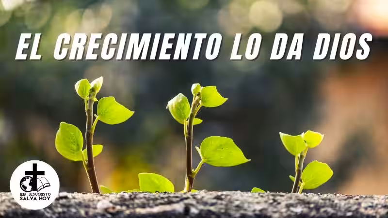 el-crecimiento-lo-da-dios
