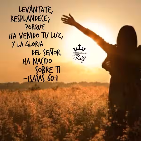 levantate-y-resplandece-reflexion