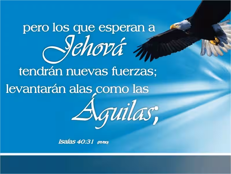 los-que-esperan-en-jehova-versiculos