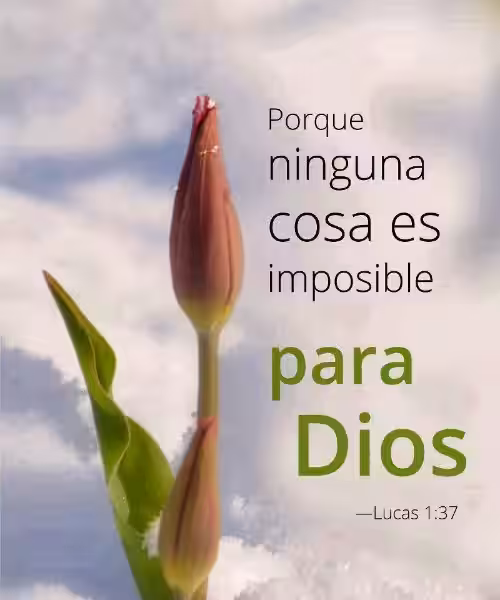 lucas-1-37-reflexion