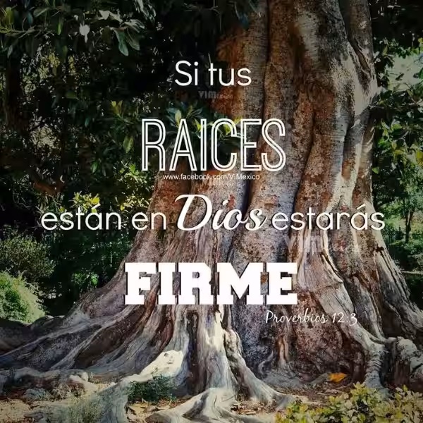 raices-profundas-biblia