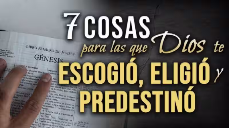somos-escogidos-por-dios-versiculos