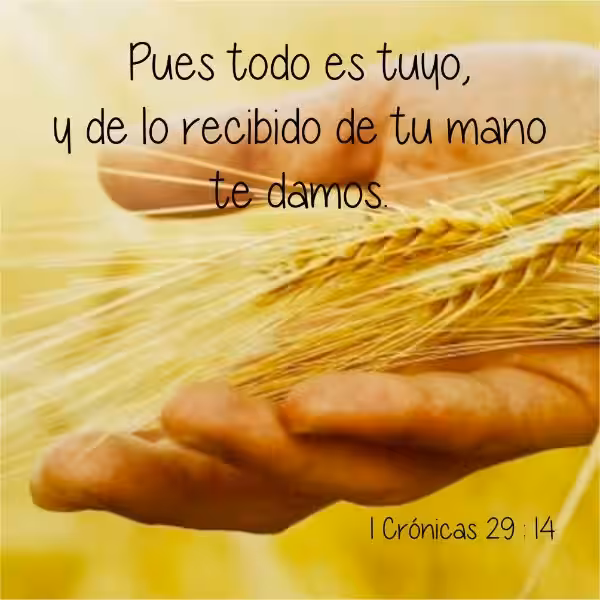 textos-biblicos-de-ofrendas-y-diezmos