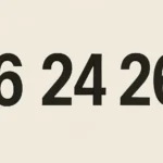 numeros 6 24 26