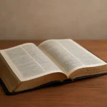 Biblia diaria: plan de lectura y devocionales para cada día biblia diaria
