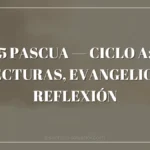 5 Pascua — Ciclo A: Lecturas, Evangelio y Reflexión