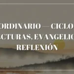 6 Ordinario — Ciclo A: Lecturas, Evangelio y Reflexión